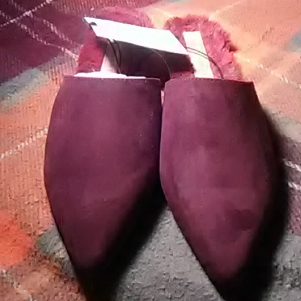 Shoe burgundy in color